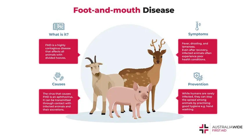 Infographic on What is Foot and Mouth Disease